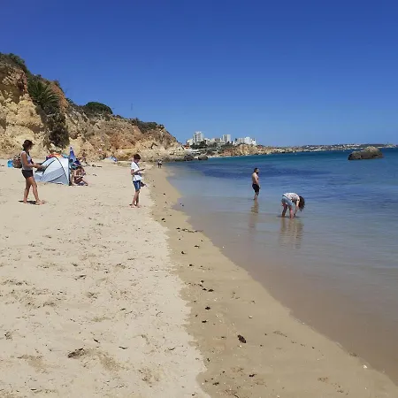 Vp Flat With Balcony And Pool View *